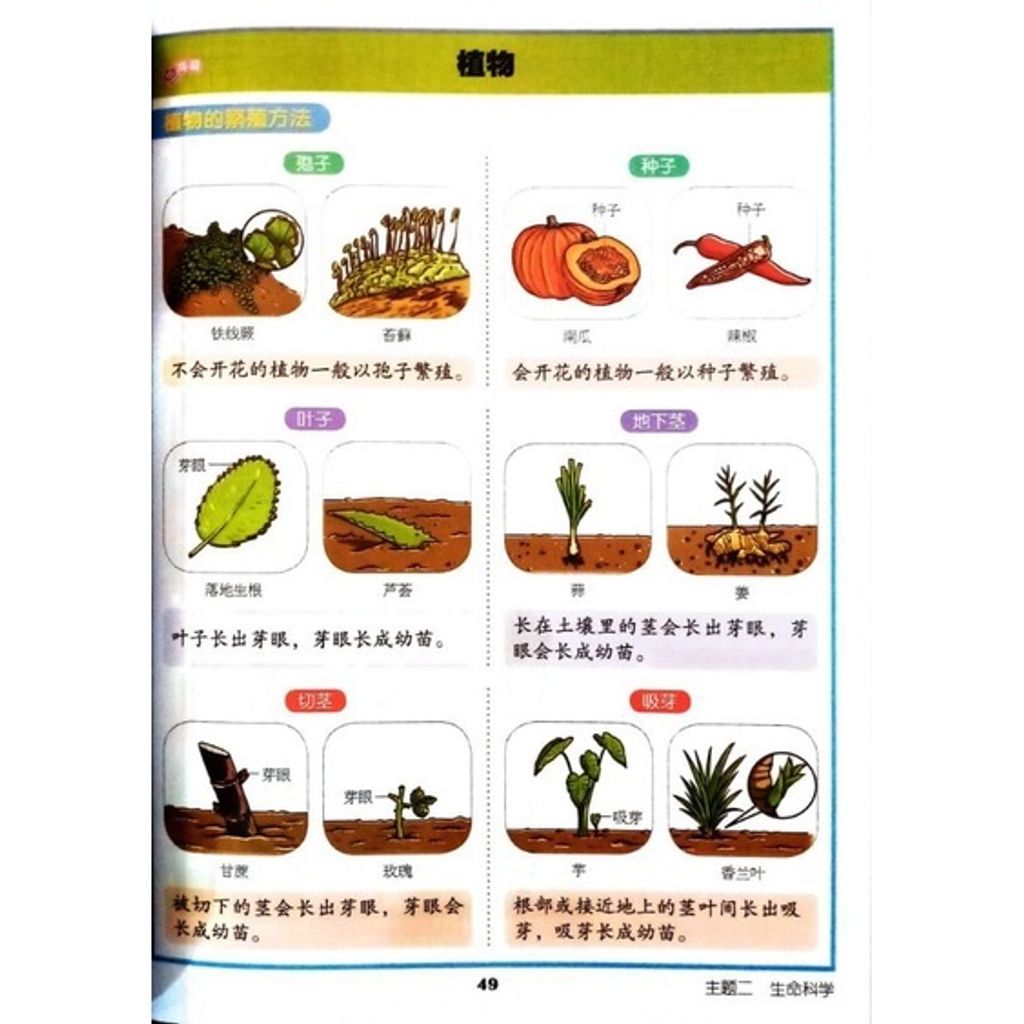 7d98ab05c62d58f12903c1ac25dcdd21