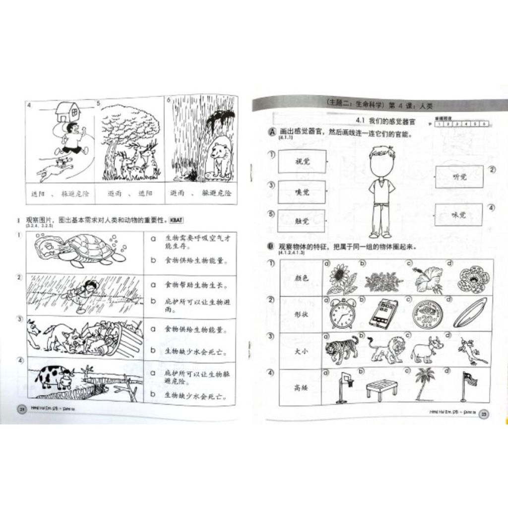 599fc1c9d694578b1a65f2f9fad924e3