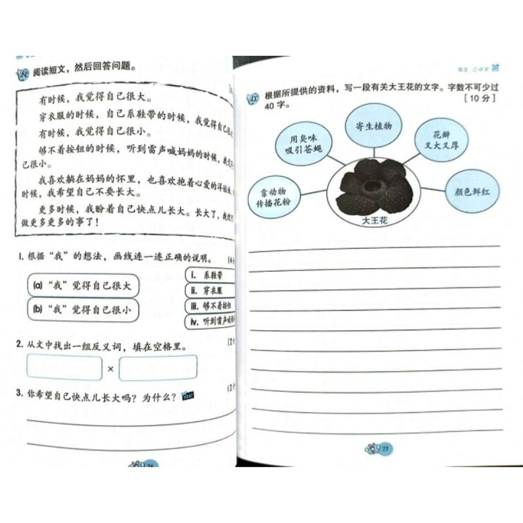 my-11134207-7r98w-lqzt9wjqv8kkb3