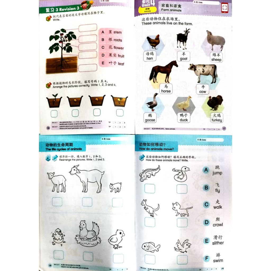 my-11134207-7quky-liilc8pwy7vn7b