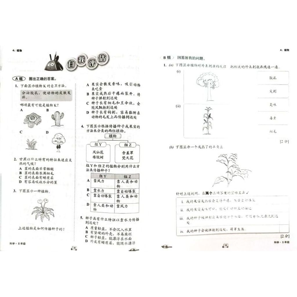 my-11134207-7rasl-m27q9kg3wtz1ea