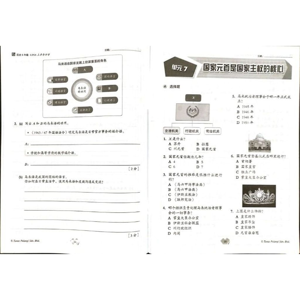 my-11134207-7ras8-m2xlsjcqxeaq25