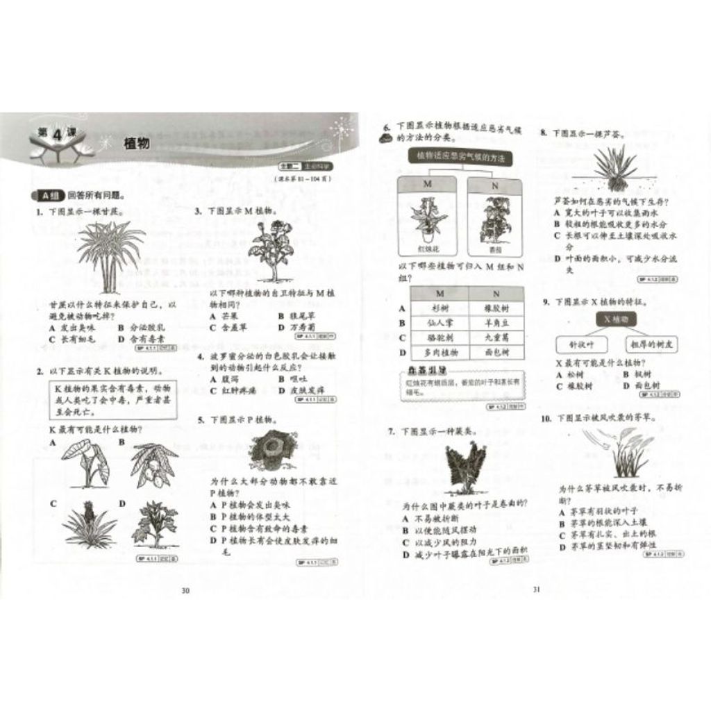 my-11134207-7rase-m52cb0um4huxd8