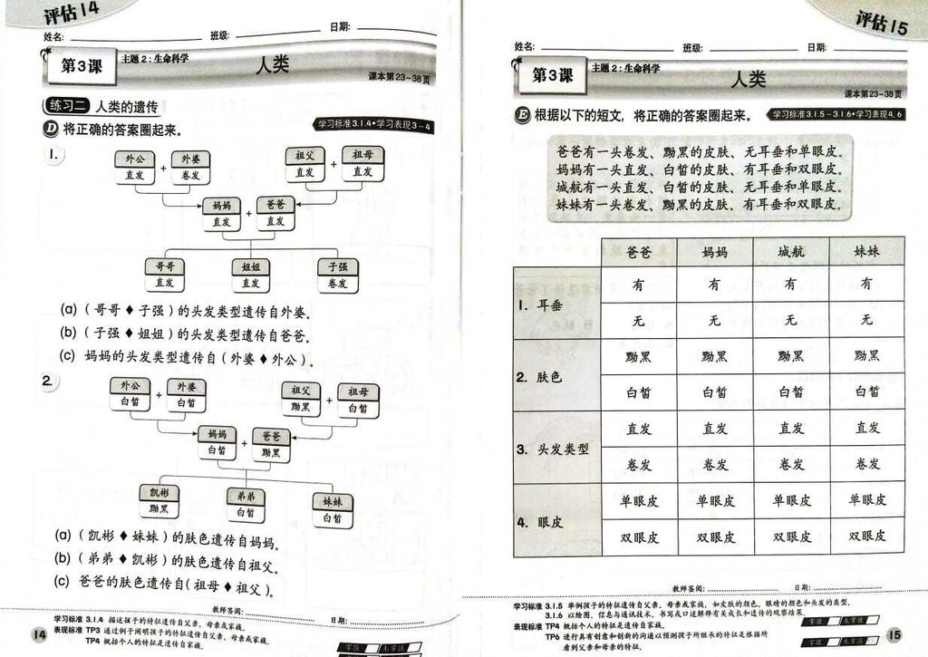 WhatsApp Image 2025-06-28 at 16.22.58 (1)