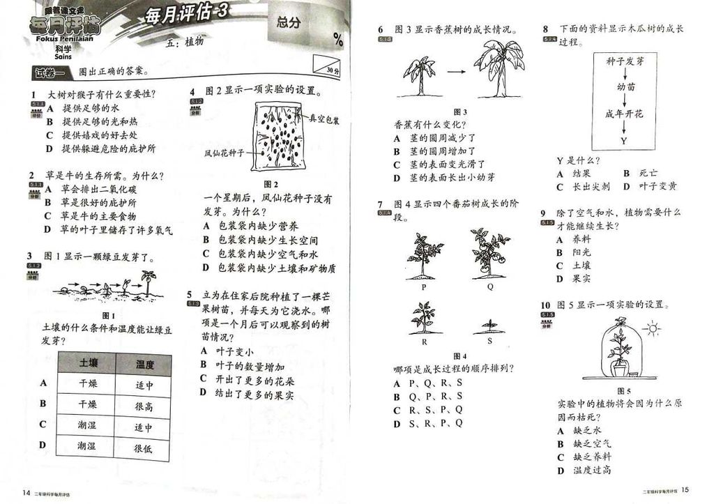 WhatsApp Image 2025-06-30 at 14.52.35 (3)