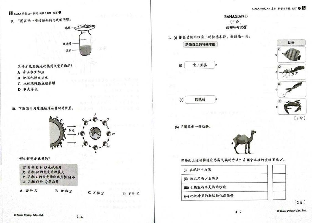 WhatsApp Image 2025-07-26 at 12.46.15 (1)