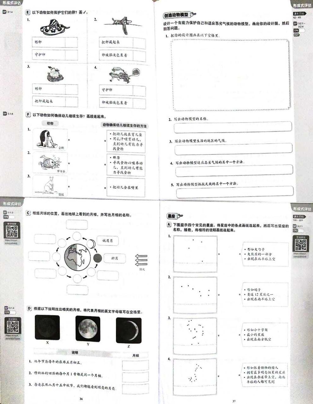 WhatsApp Image 2025-07-26 at 16.36.01 (3)