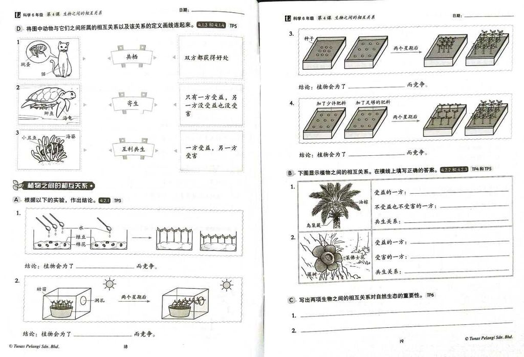 WhatsApp Image 2025-08-09 at 14.12.11 (2)