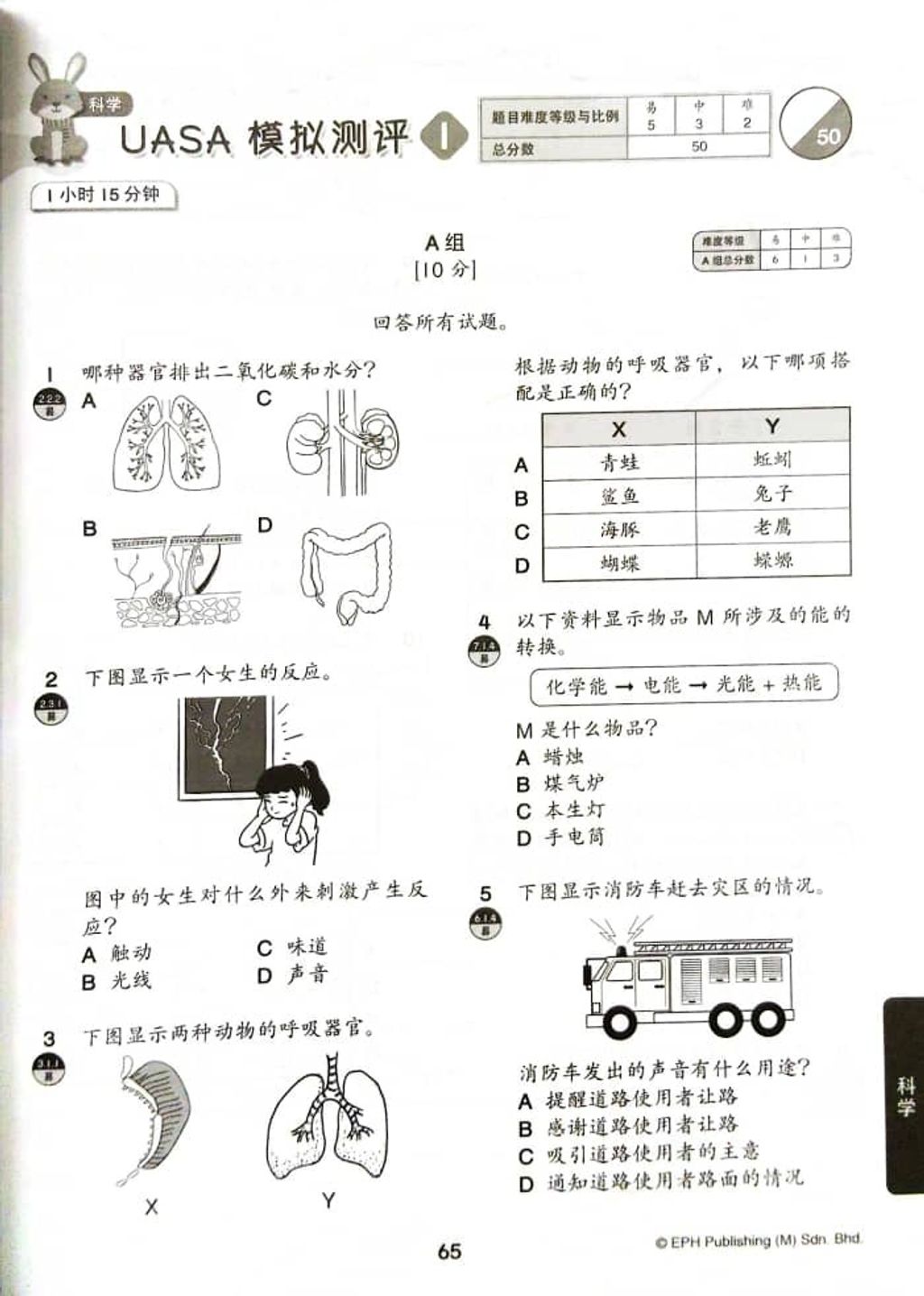 WhatsApp Image 2025-09-27 at 11.15.54 (3)