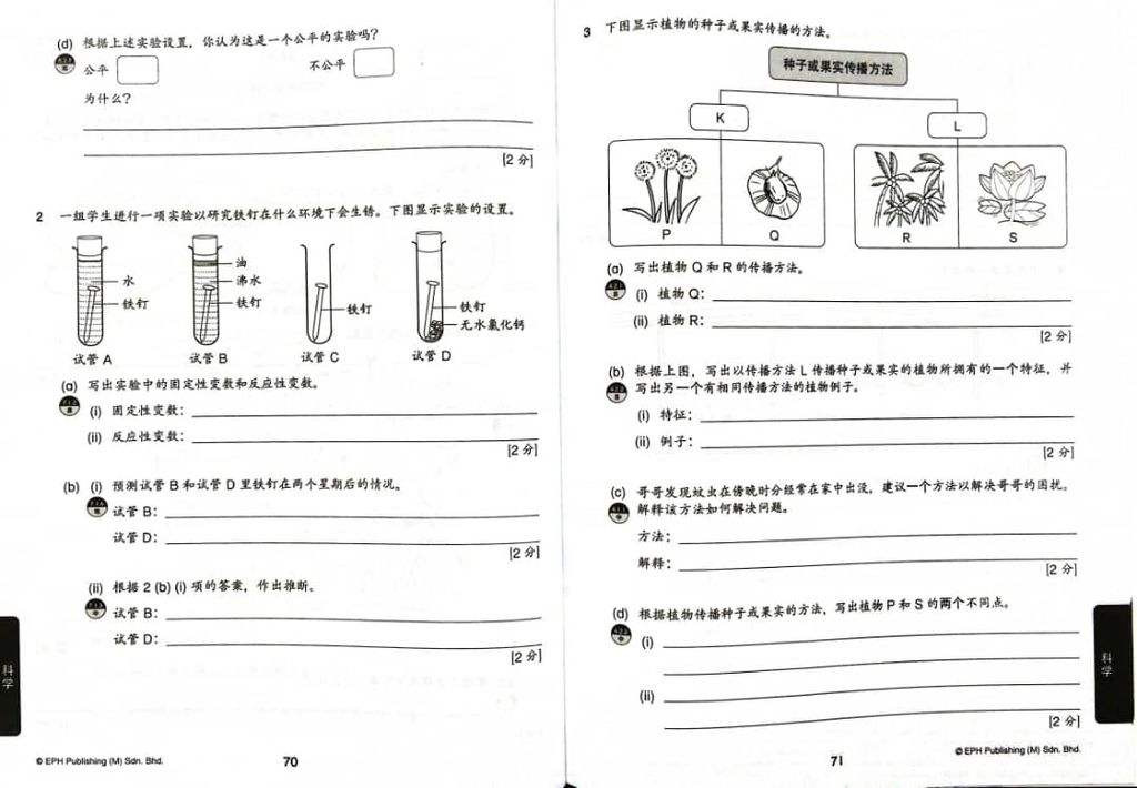 WhatsApp Image 2025-09-27 at 11.28.05 (1)