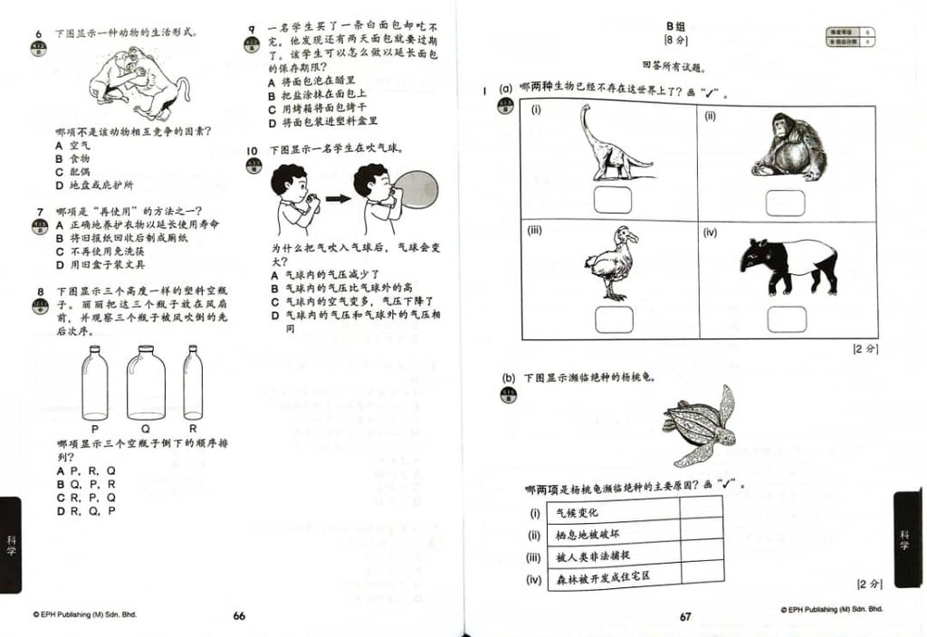 WhatsApp Image 2025-09-27 at 11.37.29 (1)