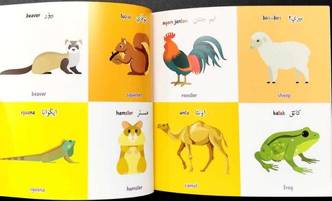 WhatsApp Image 2025-10-14 at 16.09.02 (1)