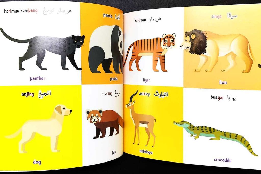 WhatsApp Image 2025-10-14 at 16.09.02 (2)