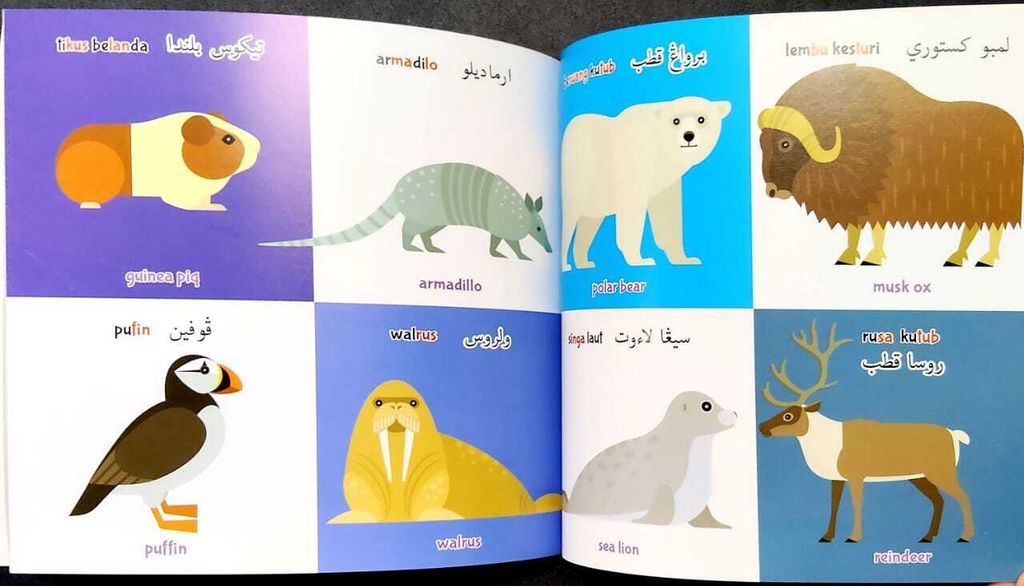 WhatsApp Image 2025-10-14 at 16.09.03