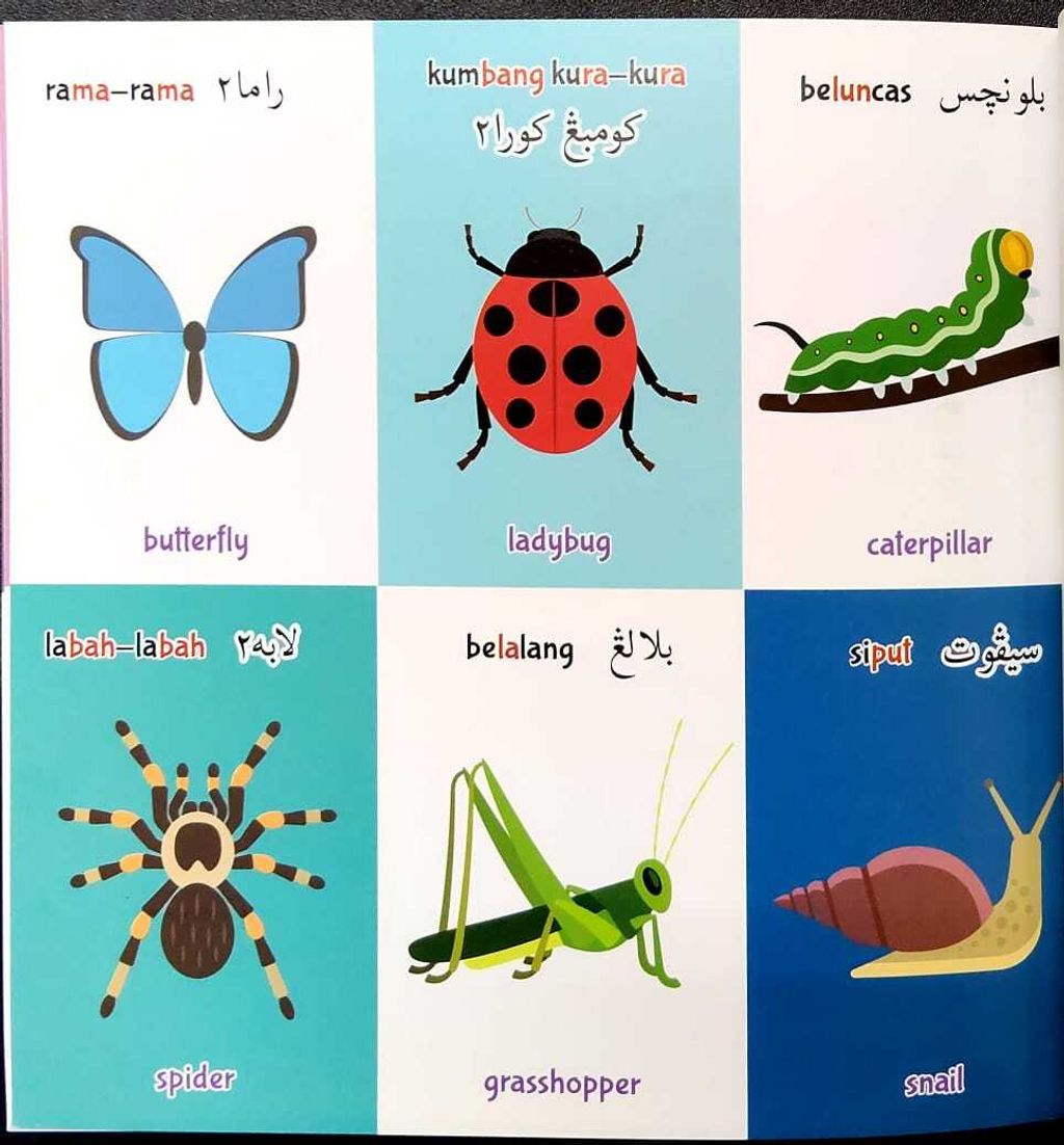 WhatsApp Image 2025-10-14 at 16.09.03 (1)