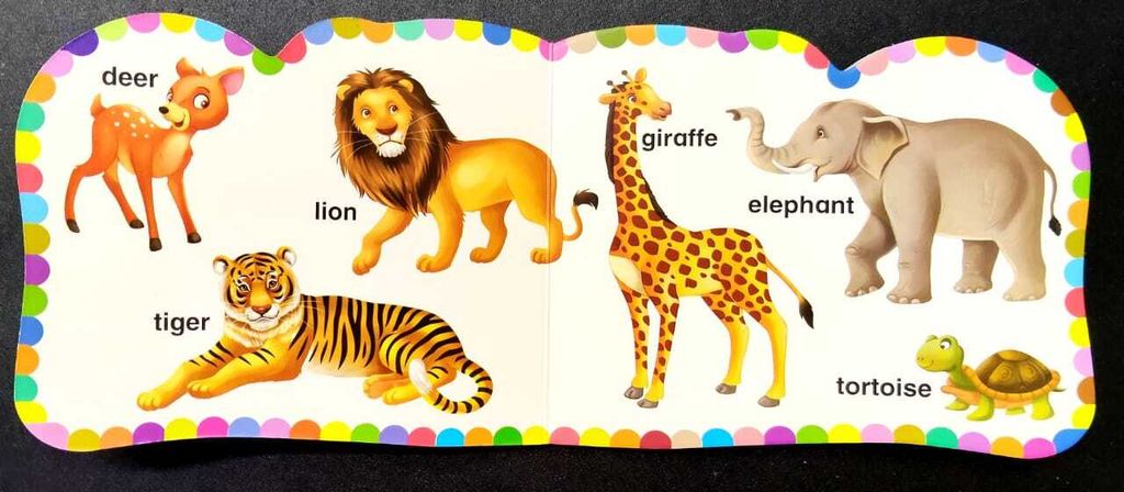 WhatsApp Image 2025-10-15 at 15.40.27 (2)