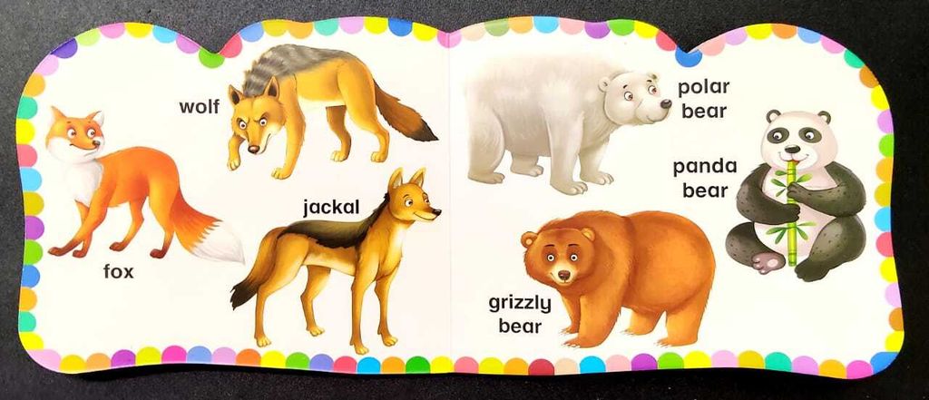 WhatsApp Image 2025-10-15 at 15.40.28