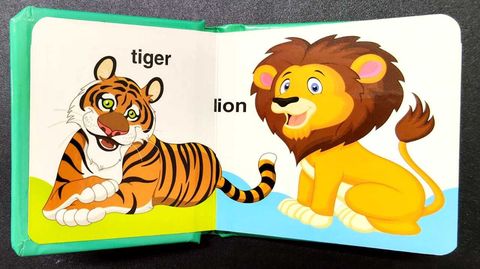 WhatsApp Image 2025-10-24 at 16.13.53