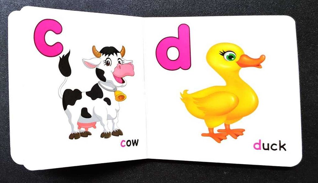 WhatsApp Image 2025-10-25 at 13.08.44 (1)