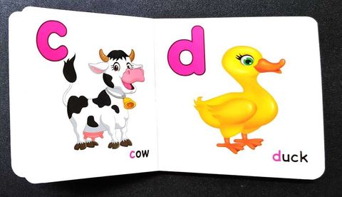 WhatsApp Image 2025-10-25 at 13.08.44 (1)