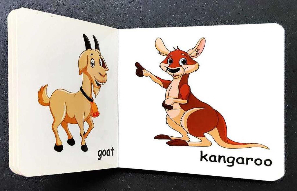 WhatsApp Image 2025-10-25 at 13.08.44 (3)