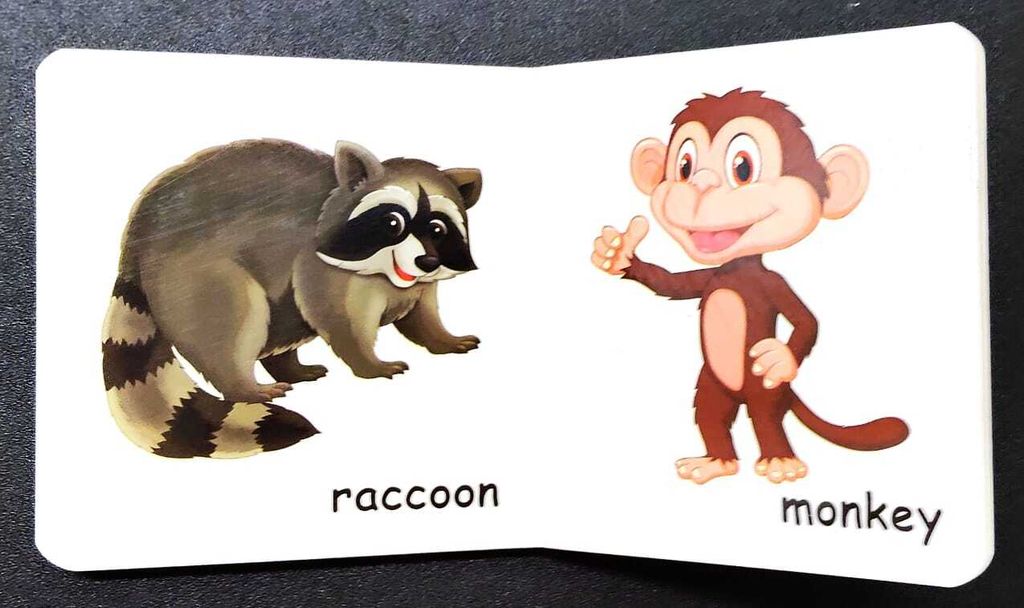 WhatsApp Image 2025-10-25 at 13.08.45