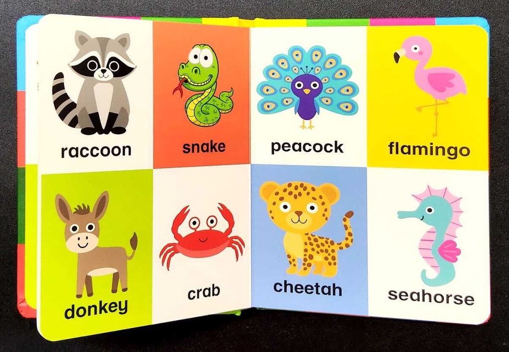 WhatsApp Image 2025-10-25 at 15.49.52