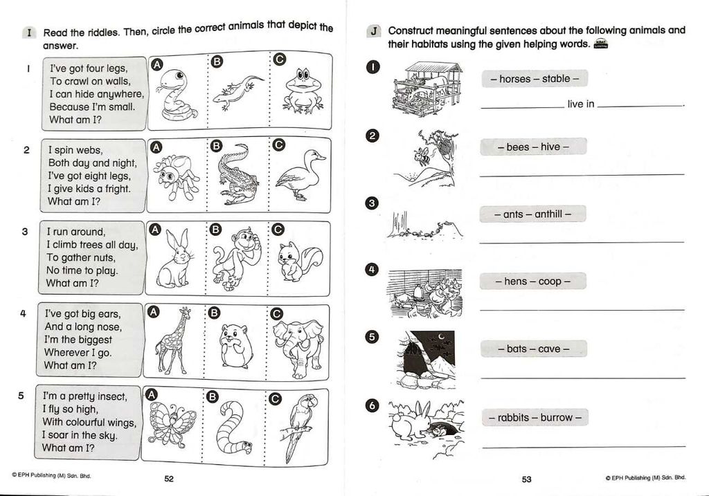 WhatsApp Image 2025-11-21 at 15.40.00 (2)