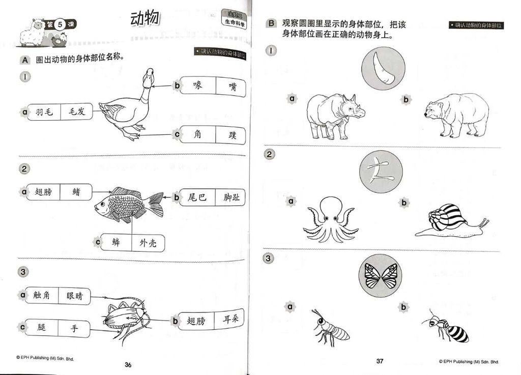 WhatsApp Image 2025-11-21 at 15.40.02