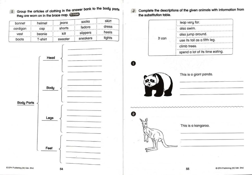 WhatsApp Image 2025-11-21 at 16.33.51