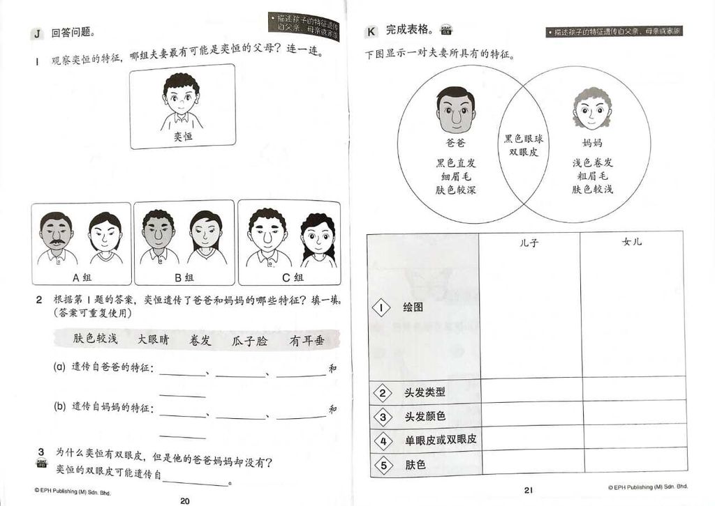 WhatsApp Image 2025-11-21 at 16.33.53 (1)