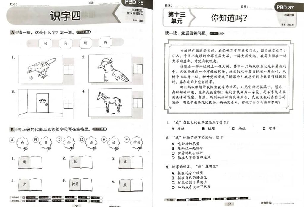 WhatsApp Image 2025-11-21 at 16.52.04 (1)