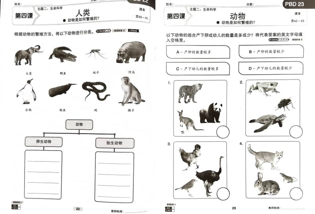 WhatsApp Image 2025-11-21 at 16.52.07 (1)