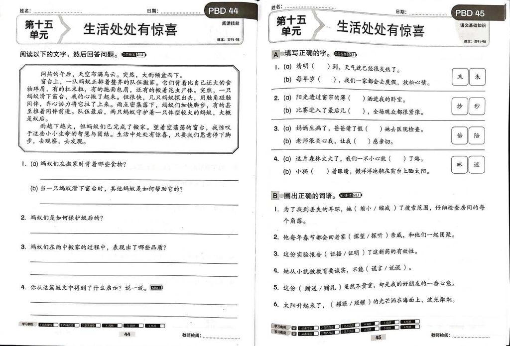 WhatsApp Image 2025-11-21 at 17.30.40