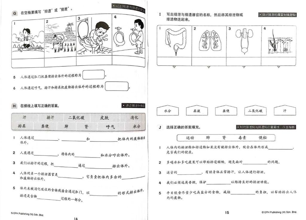 WhatsApp Image 2025-11-22 at 14.31.25