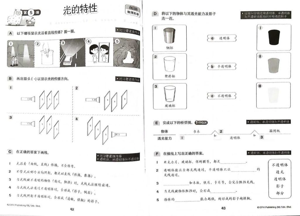 WhatsApp Image 2025-11-22 at 14.31.25 (1)