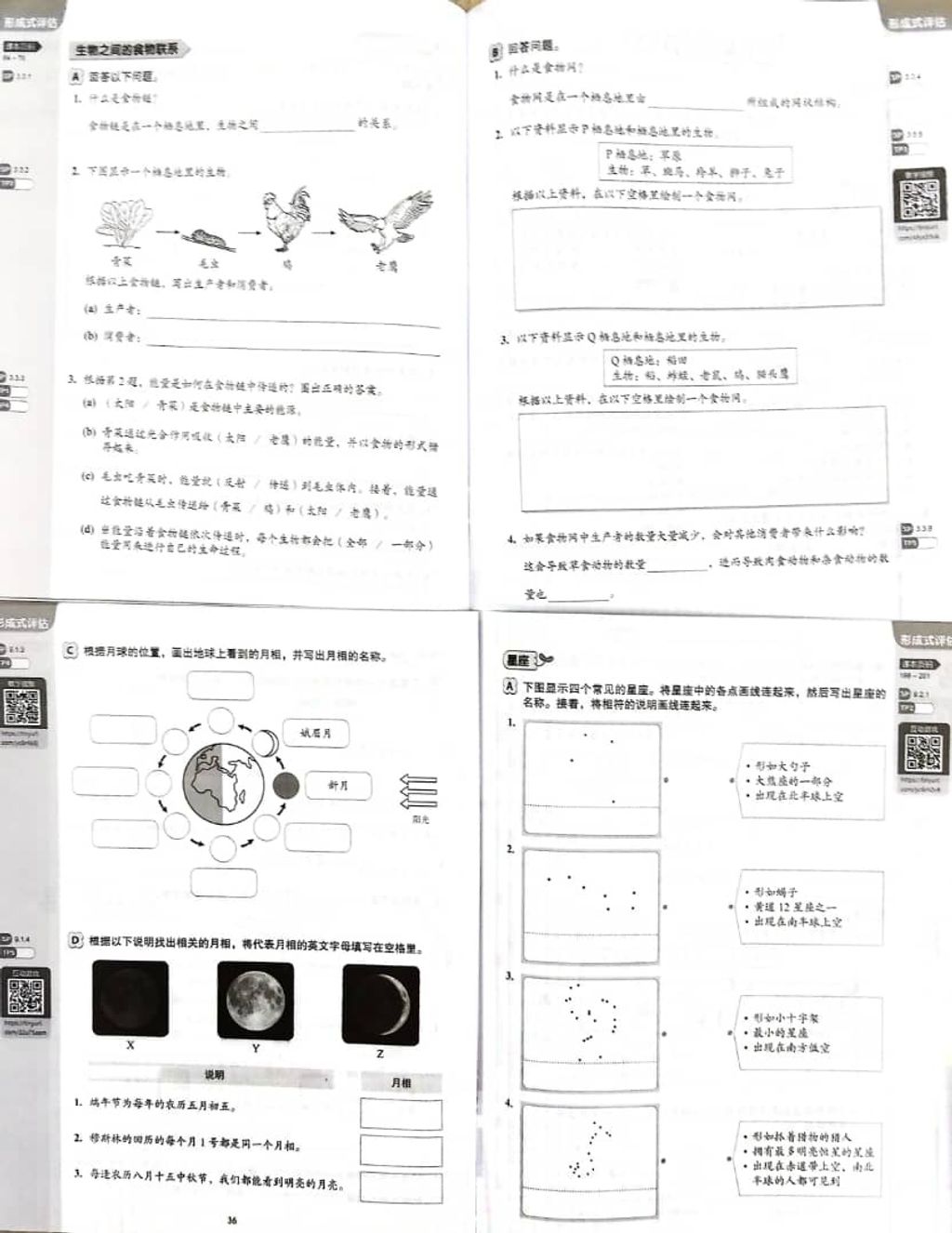 WhatsApp Image 2025-11-22 at 15.08.45