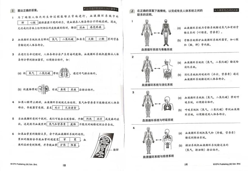 WhatsApp Image 2025-11-22 at 15.33.59 (1)