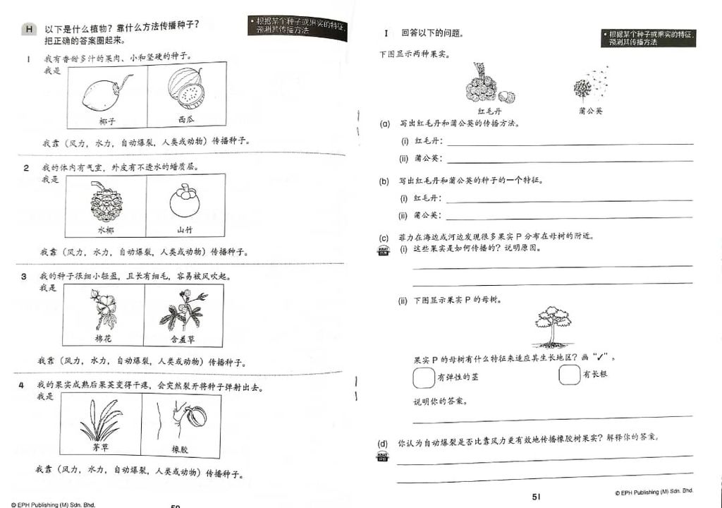 WhatsApp Image 2025-11-22 at 15.33.59 (2)