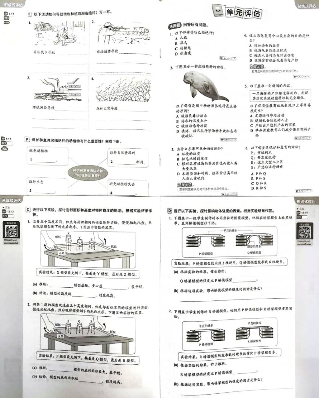 WhatsApp Image 2025-11-22 at 15.52.06 (1)