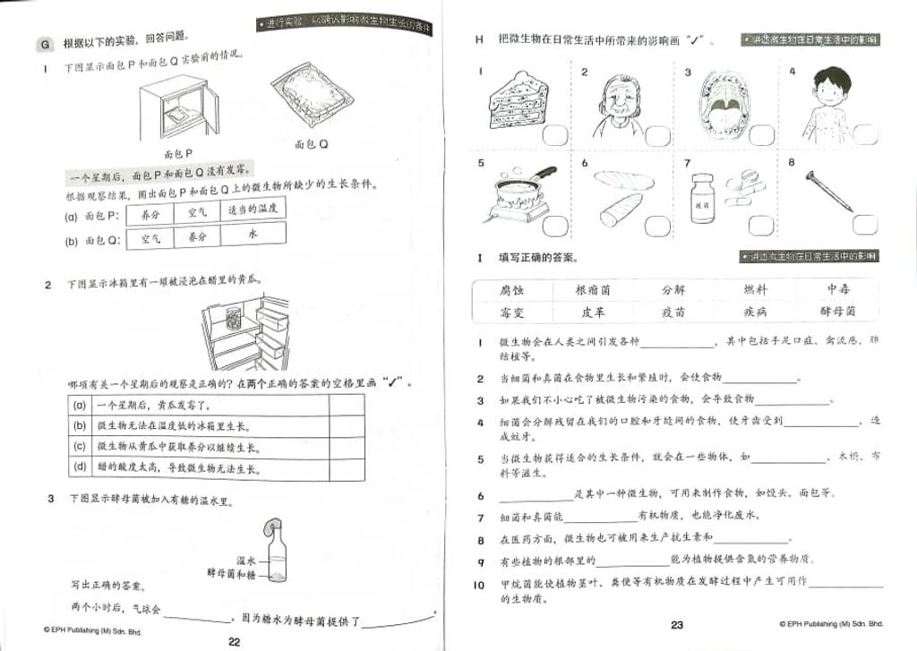 WhatsApp Image 2025-11-22 at 16.19.35 (4)