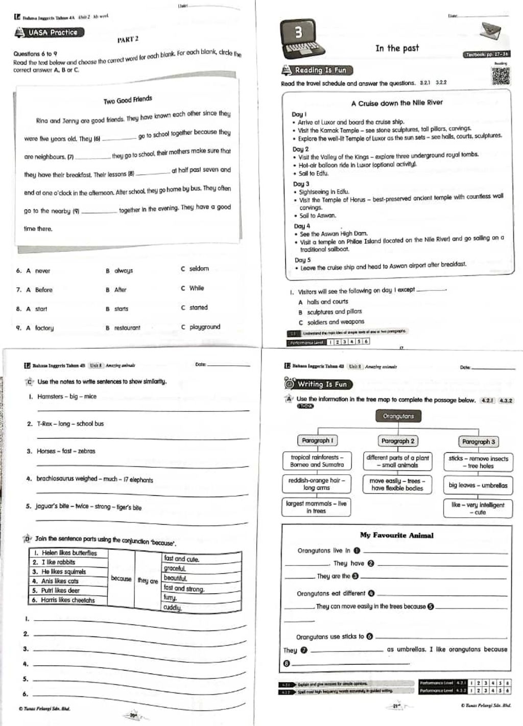 WhatsApp Image 2025-11-26 at 16.51.40 (1)