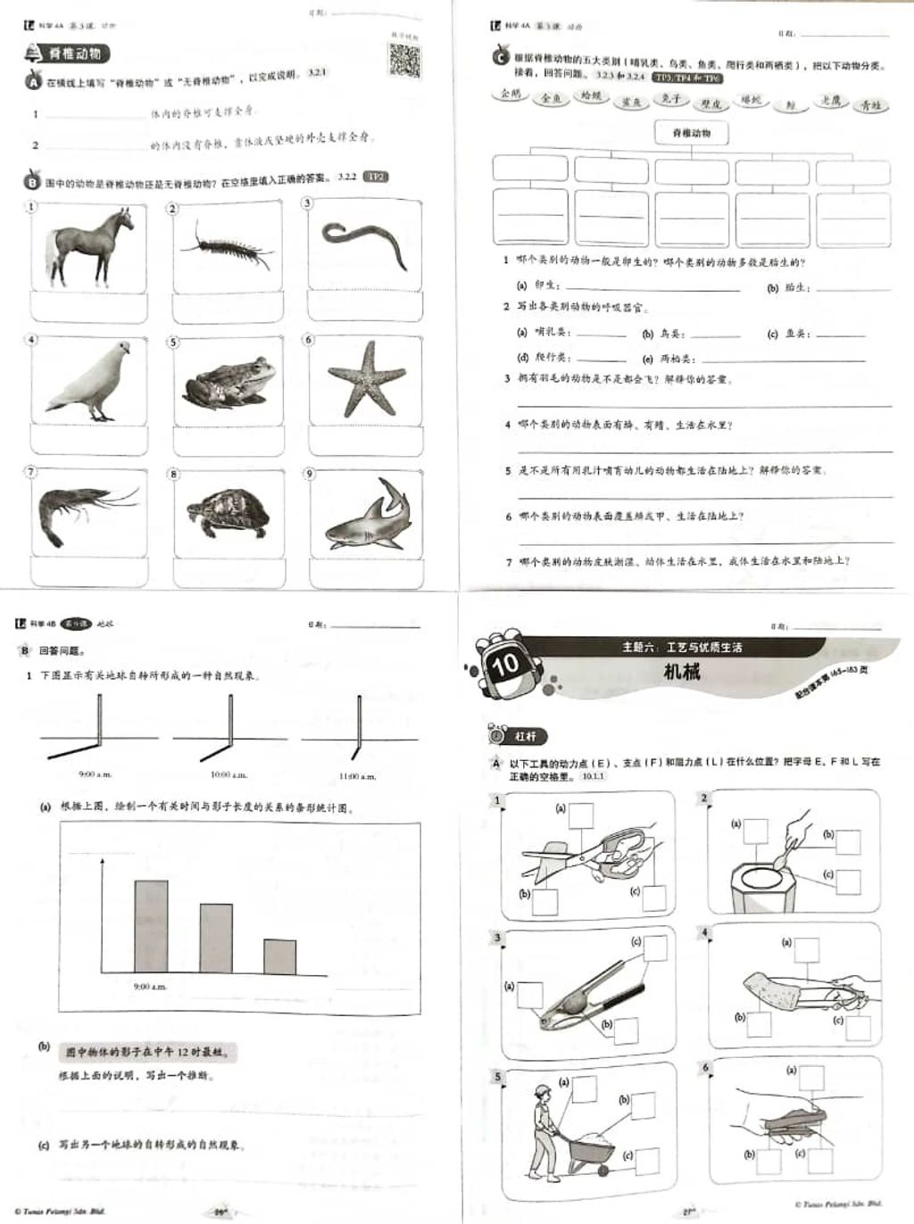 WhatsApp Image 2025-11-26 at 16.51.41 (2)