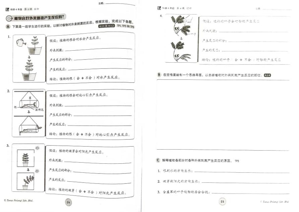 WhatsApp Image 2025-11-26 at 18.31.48