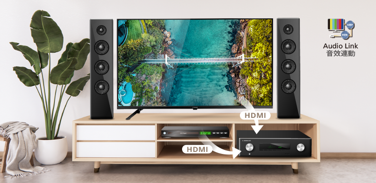 AudioLink