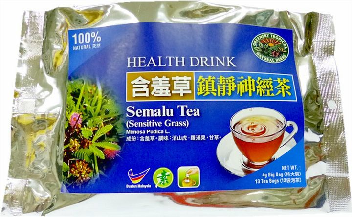 Sensitive Grass Herb 含羞草.JPG