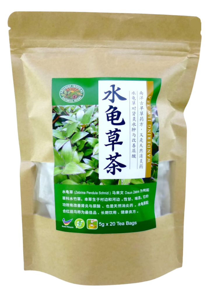 水龟草 Wandering Jew.png
