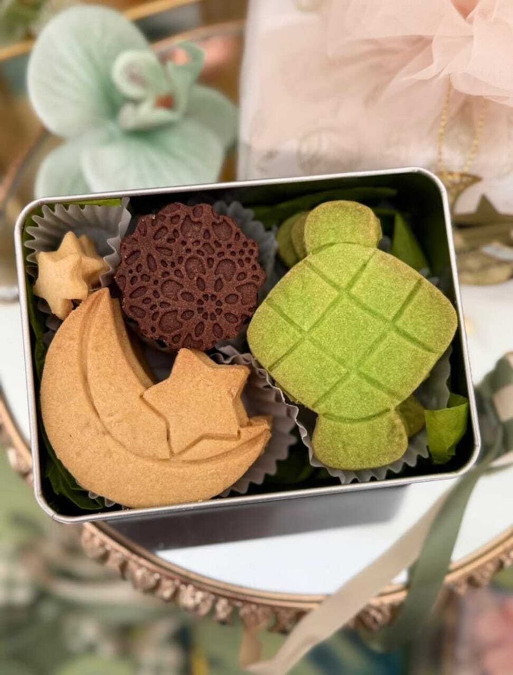 WhatsApp Image 2026-03-05 at 12.49.27 PM