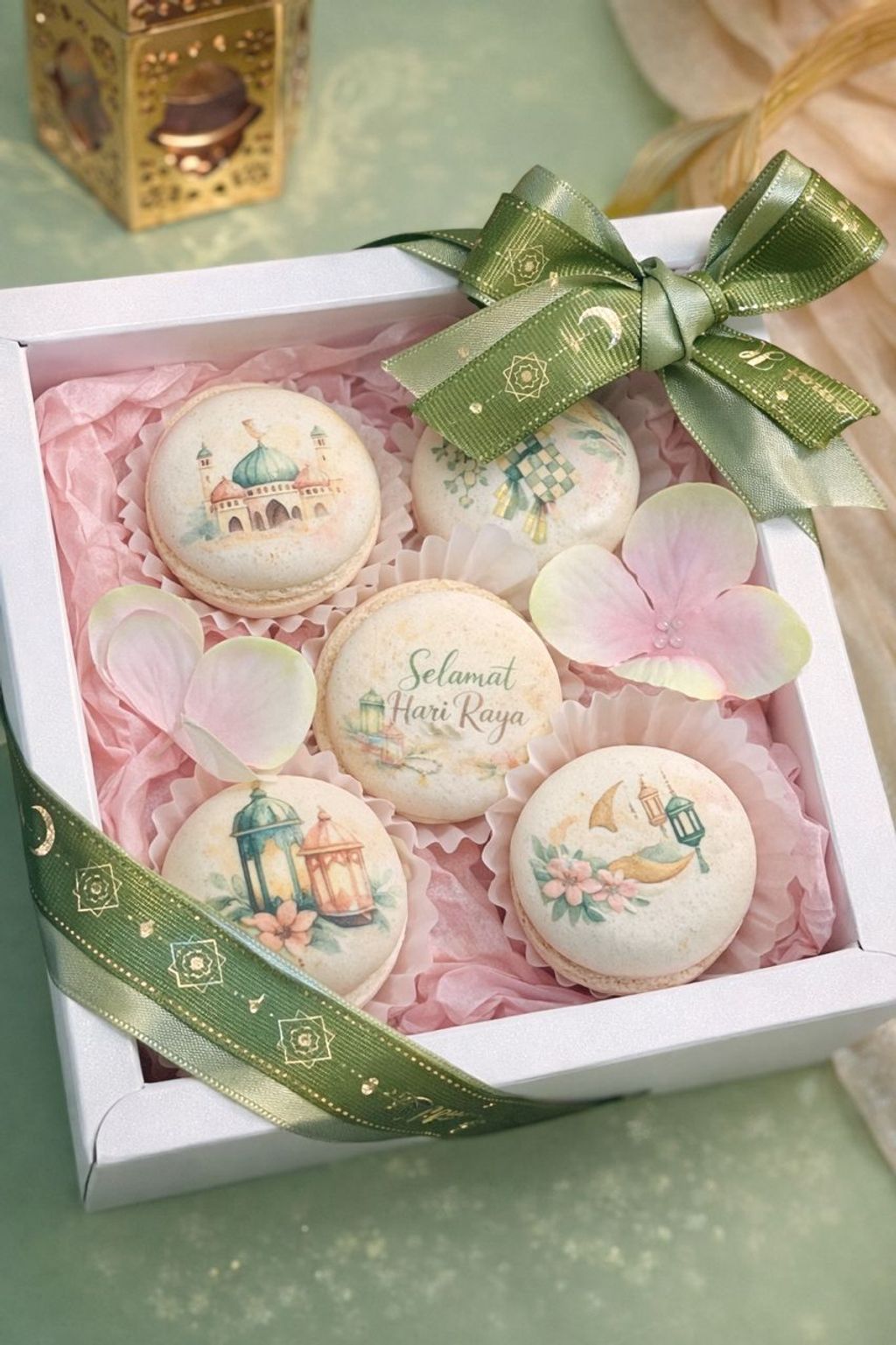 WhatsApp Image 2026-03-05 at 2.41.12 PM