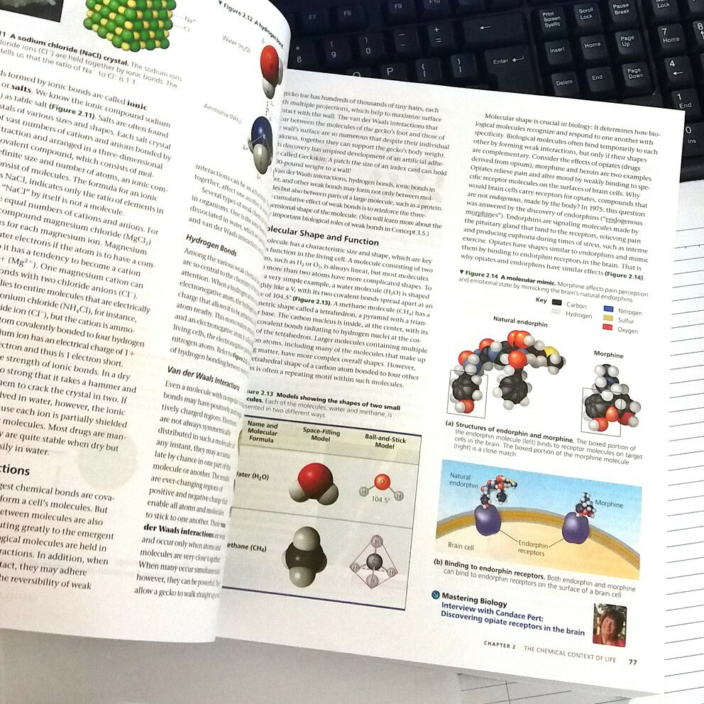 Biology in Focus 第3版 Campbell Biology in Focus Global Edition 3rd Edition